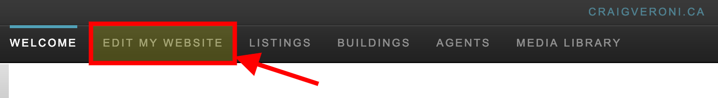 Edit my RealtyNinja Website