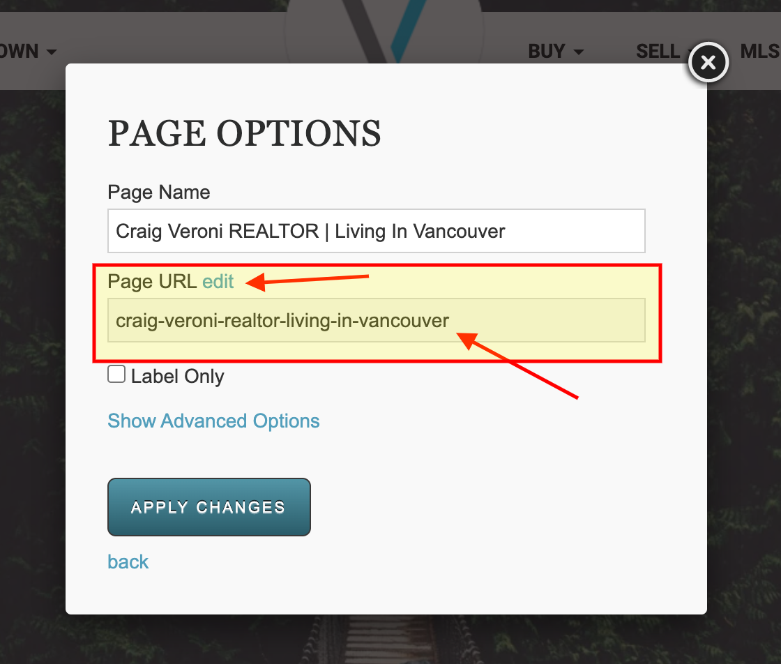 Change your Page URL on your RealtyNinja Site